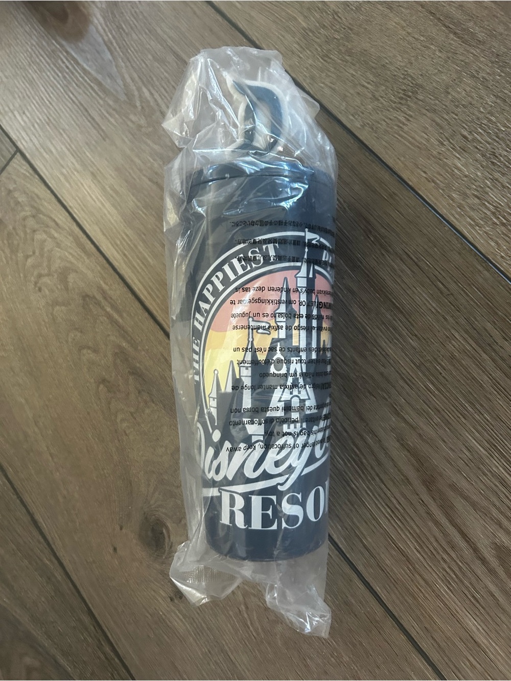 Disney Navy Blue Water Bottle with Sunset Graphic
